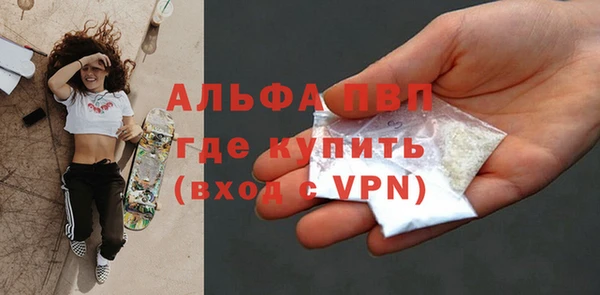 хмурый Арсеньев