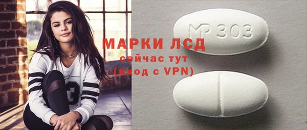 хмурый Арсеньев