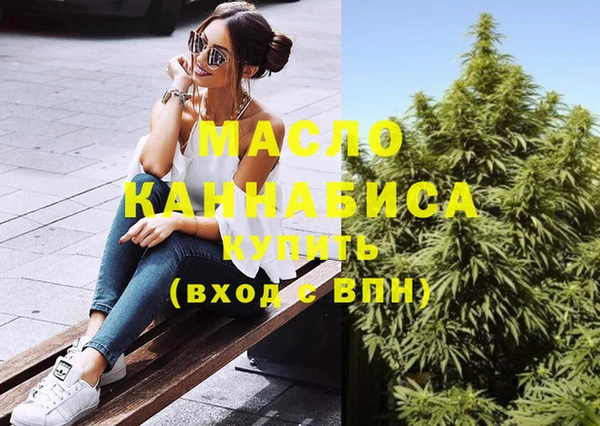 хмурый Арсеньев