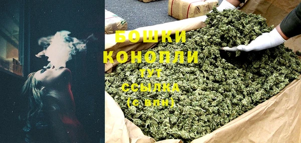 хмурый Арсеньев
