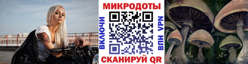 Псилоцибиновые грибы Psilocybine cubensis Купить Вышний Волочёк
